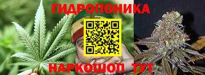 трава Пыть-Ях